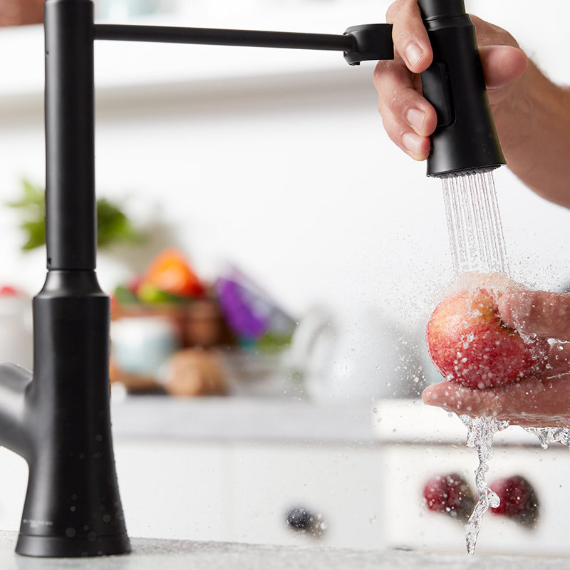 Joleena Pull Out Single Handle Kitchen Faucet, Matte Black