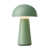 Dust Green is out of stock selected