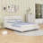 Queen Upholstered Platform Bed with Headboard