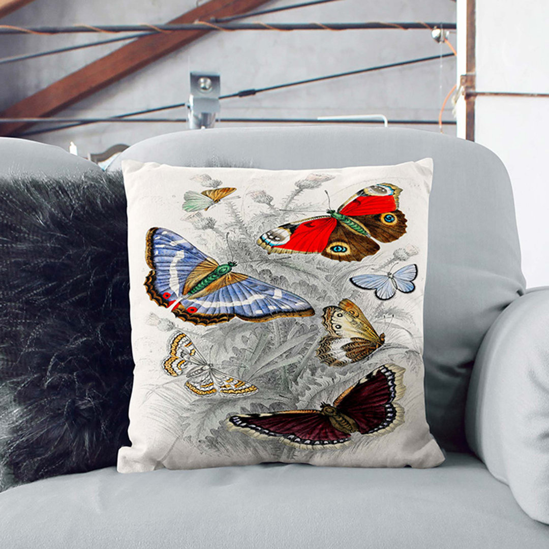 Assortment of Butterflies PL. 69 by Oliver Goldsmith Cushion with Filling