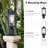 Elisia Transparent Lantern Head