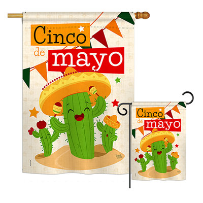 Drapeau en polyester à 2 côtés cactus fiesta cinco de mayo et primitif sud-ouest impressions