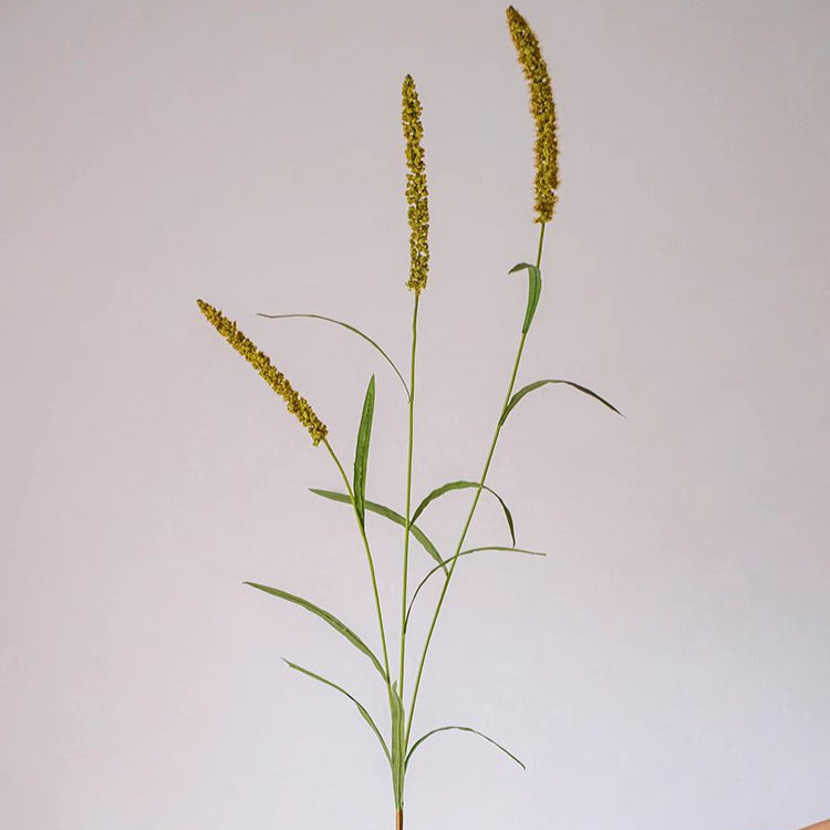 39.37'' Faux Dogtail Grass Plant, 3