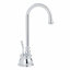 Distributeur d’eau chaude Forever