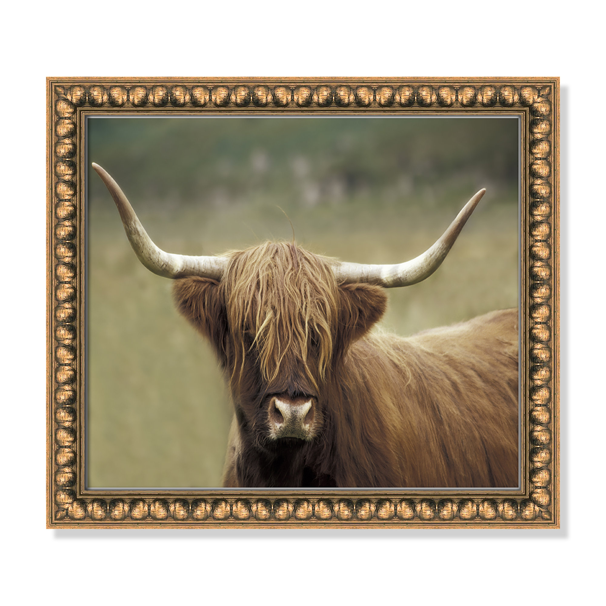Highland Afternoon by Danita Delimont - Picture Frame Photograph, 14" H x 16" W x 1.13" D, Gold Bead Framed