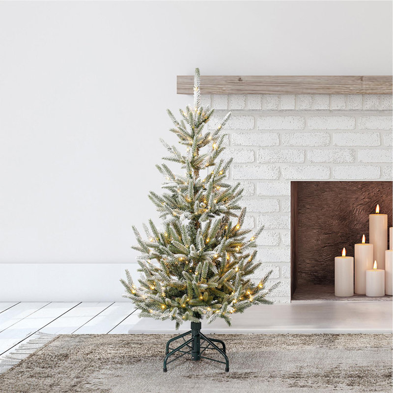  Classics Snowy Abies Pine 4 Foot Prelit Artificial Christmas Tree