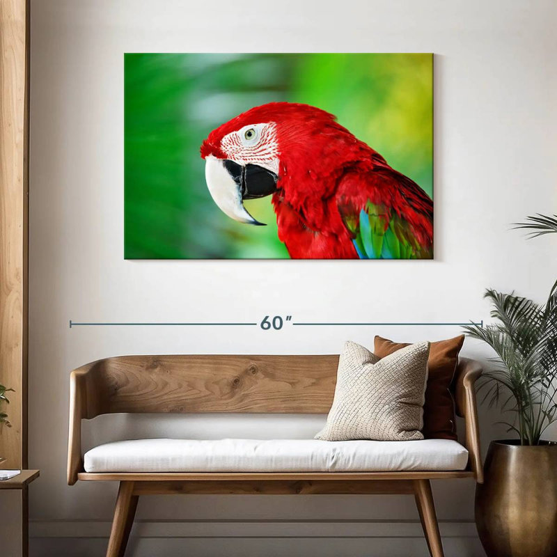Brampt Jungle Scarlet Macaw, 30" H x 45" W