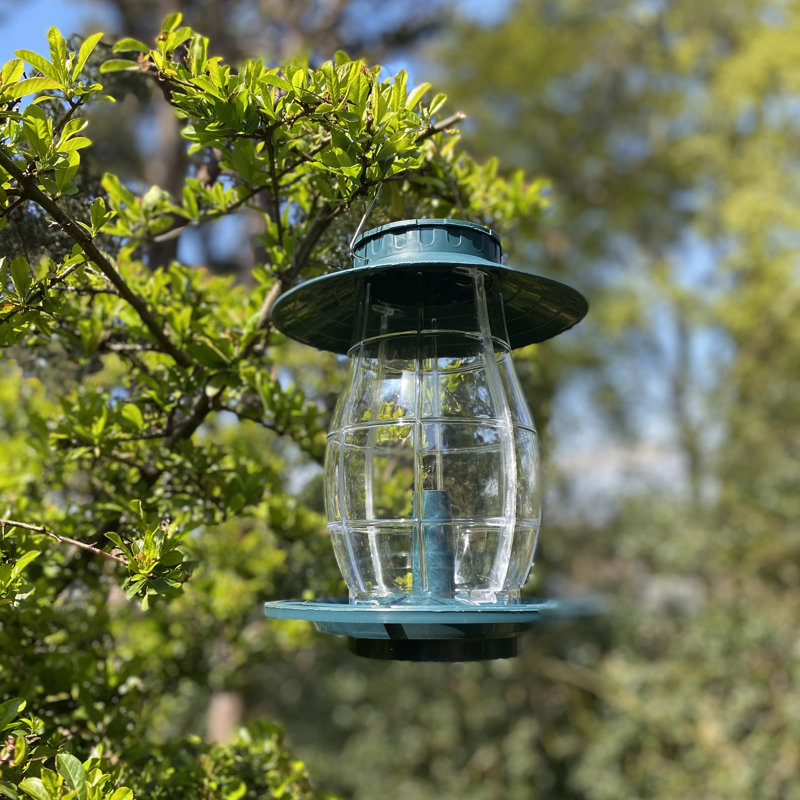 Godines Hopper Bird Feeder