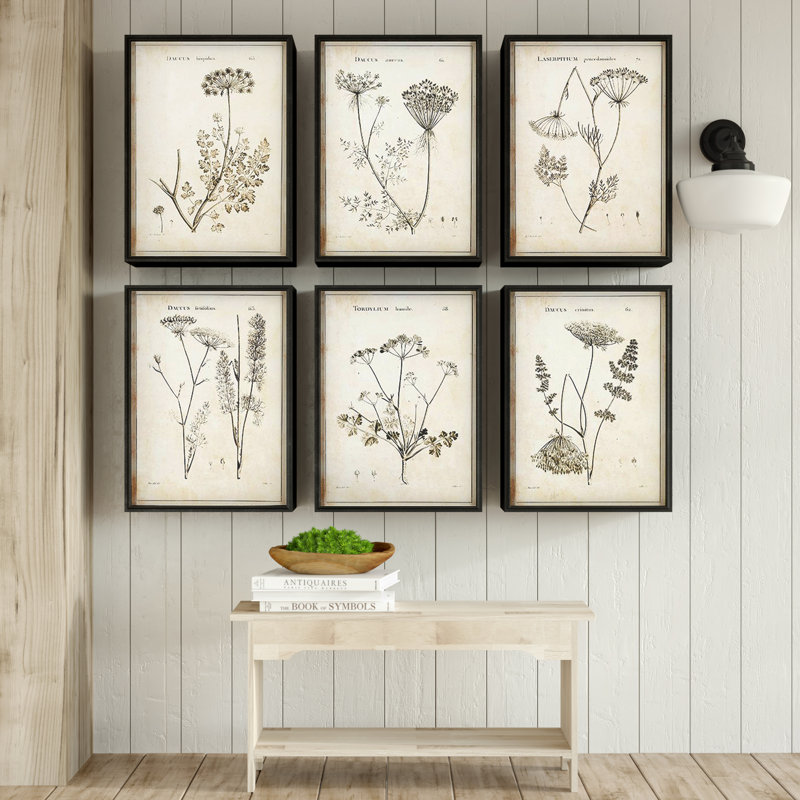 Bridgeton Wild Flower - Ensemble de 6 reproductions de cadres photo