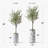 Faux Olive Tree Plant in Plastic Planter-65804285