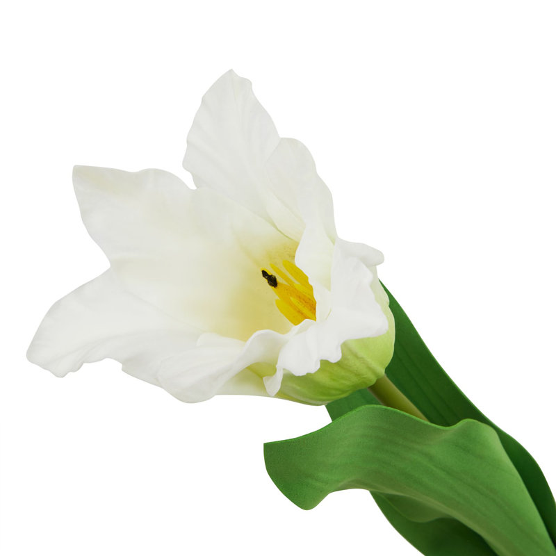 Anastasija Arrangement