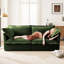 Canapé 2 places avec housse convertible et housse, chenille, siège confortable, housse élégante à 2 places d'aspect élégant, design spacieux-1608843141