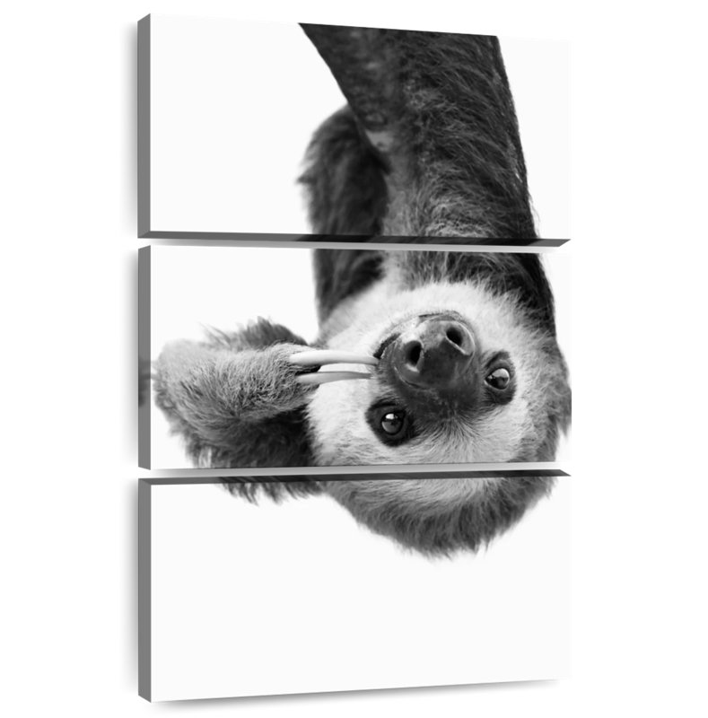 Brampt Sloth BW, 50'' H x 32'' W