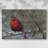 " Cardinal in Snow I " Painting-1711806091