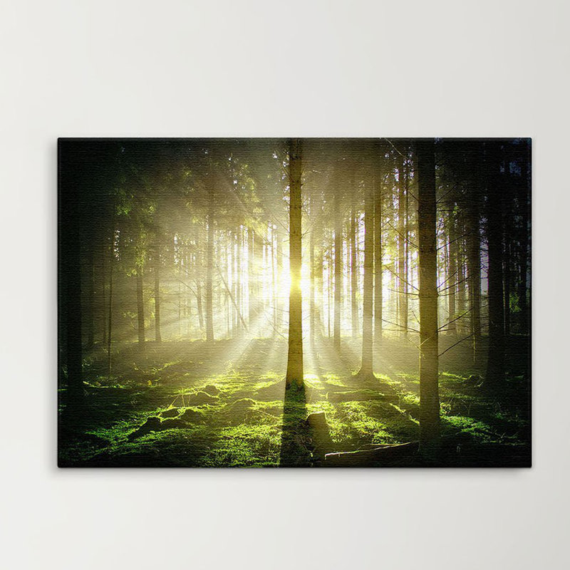 Forest Dark - Print on Canvas, 100cm L x 150cm W x 2cm D, Premium