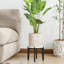 Plant Stand-1911145686