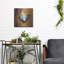  «Coq Motifs 3» par Art Licensing Studio, art mural en métal, 12 po x 12 po-1809066945