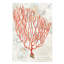 Textured Coral IV by Avery Tillmon - Print on Canvas-42157033-101413609
