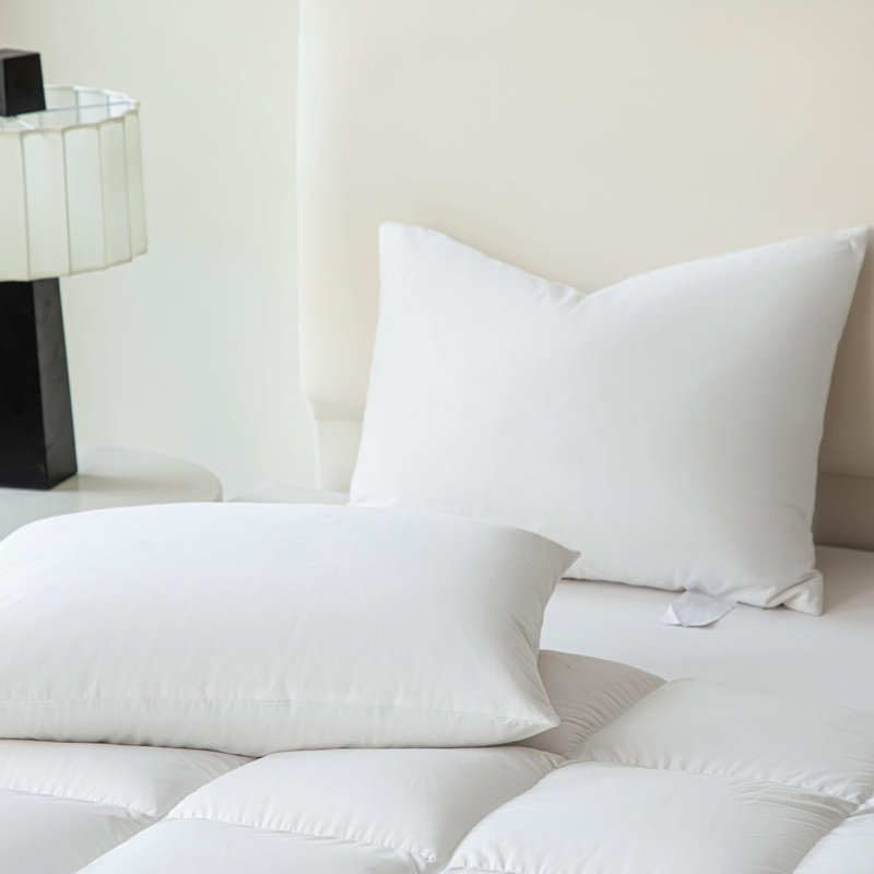White Bed Pillow Goose Feather Down Pillows Standard Size Set Of 2, Queen