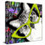 Chat dans des verres (carré) par Jodi - impression-635293699-635293723