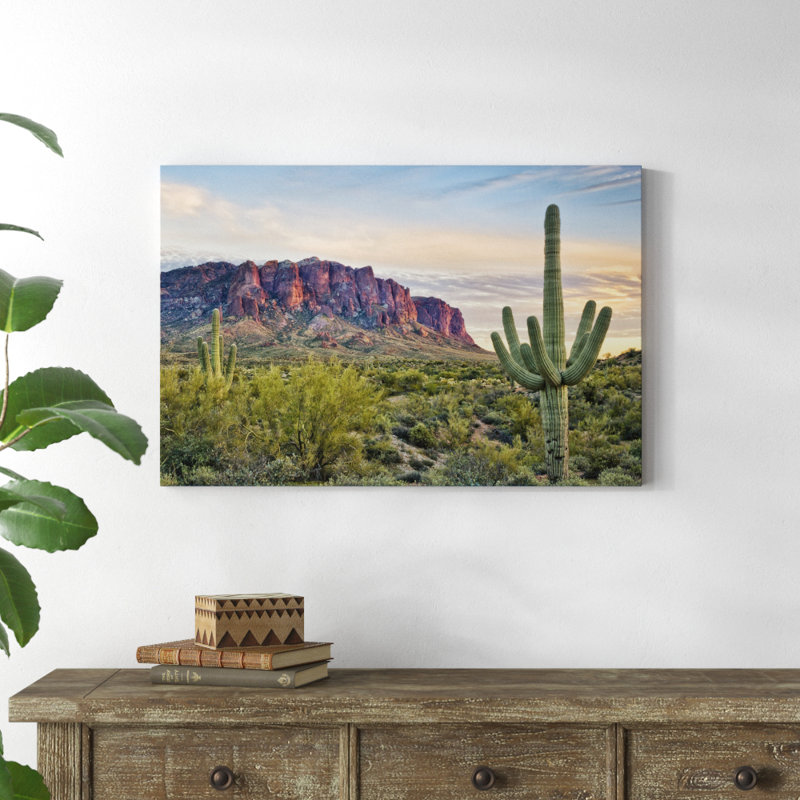 «Cacti View II», photographie sur toile, H 24 po x l 36 po
