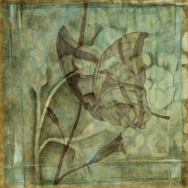 Small Ethereal Wings V by Jennifer Goldberger - Wrapped Canvas Art Prints, 30cm H x 30cm W x 3.8cm D