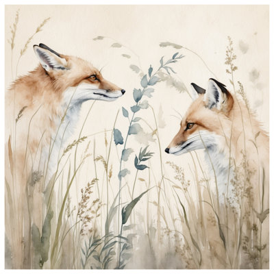 Édredon Foxes In Grass