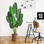 Plante de 19,7 po