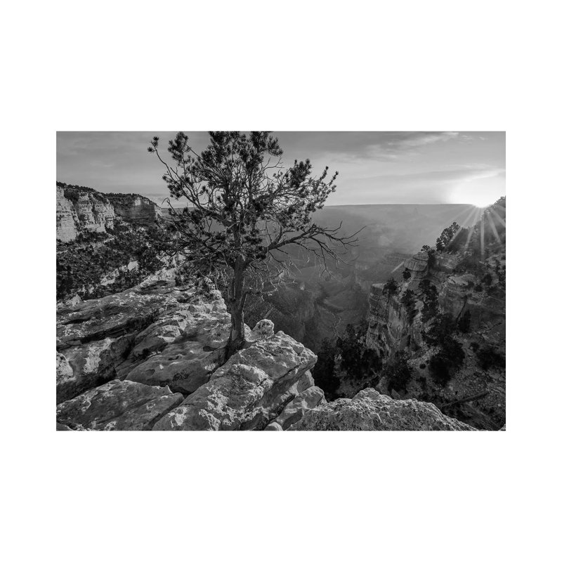 North Rim, Grand Canyon, Arizona - Wrapped Canvas Print, 30.48 cm H x 45.72 cm W