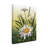 " Spring Daisies " Oil Print-25810807