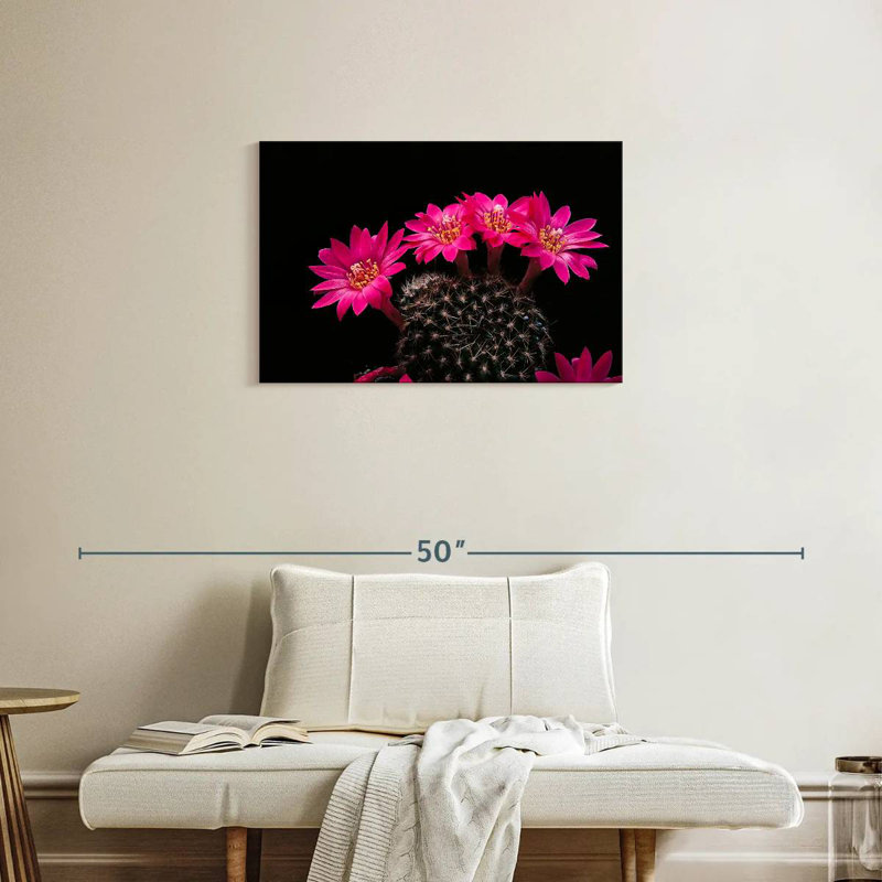 Fleurs de cactus roses, H 20 po x l 30 po