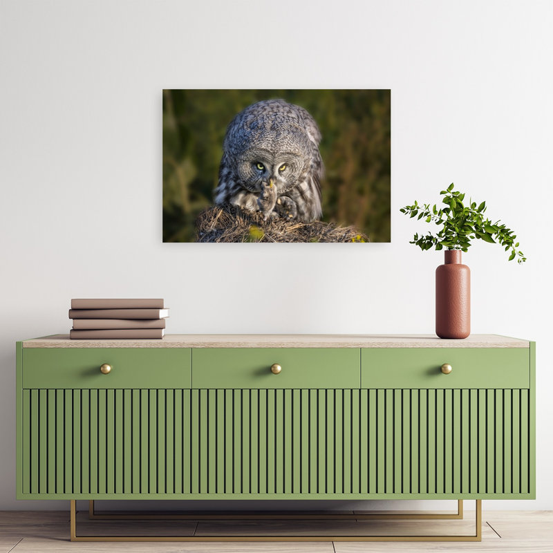 Great Grey Hunter Abstract Contemporary Bird Owl Forest Landscape Wall Art Print 1 Piece Wrapped Canvas Wall Art
