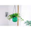 Ensemble de 2 pots à fleurs suspendus