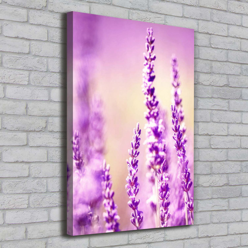 Lavender - Wrapped Canvas Print