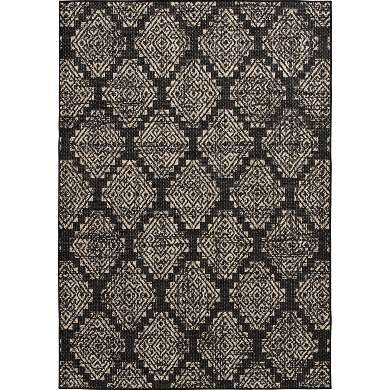 Union Rustic Makeitha Abenaki Black/Beige Global Indoor/Outdoor Polypropylene Area Rug, Rectangle 5' x 7'