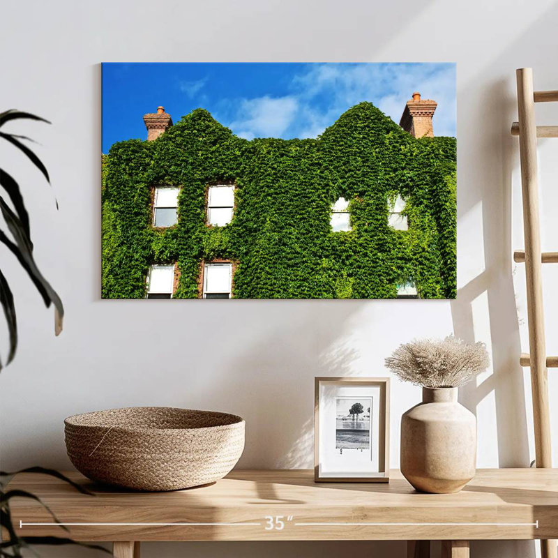 Plant Covered House, 16" H x 24" W