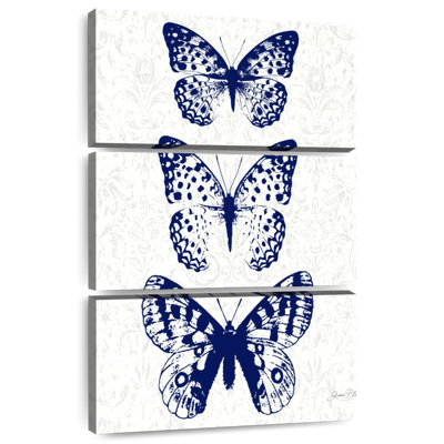 Étude de papillon indigo Brampt