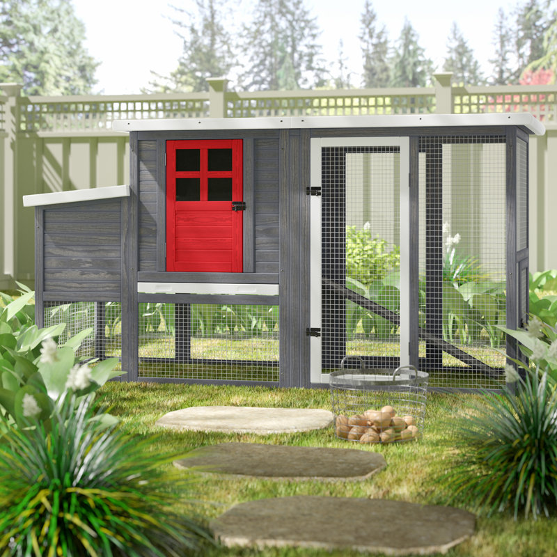 Duchess 22.2 Square Feet Chicken Coop with Nesting Box For Up To 5 Chickens