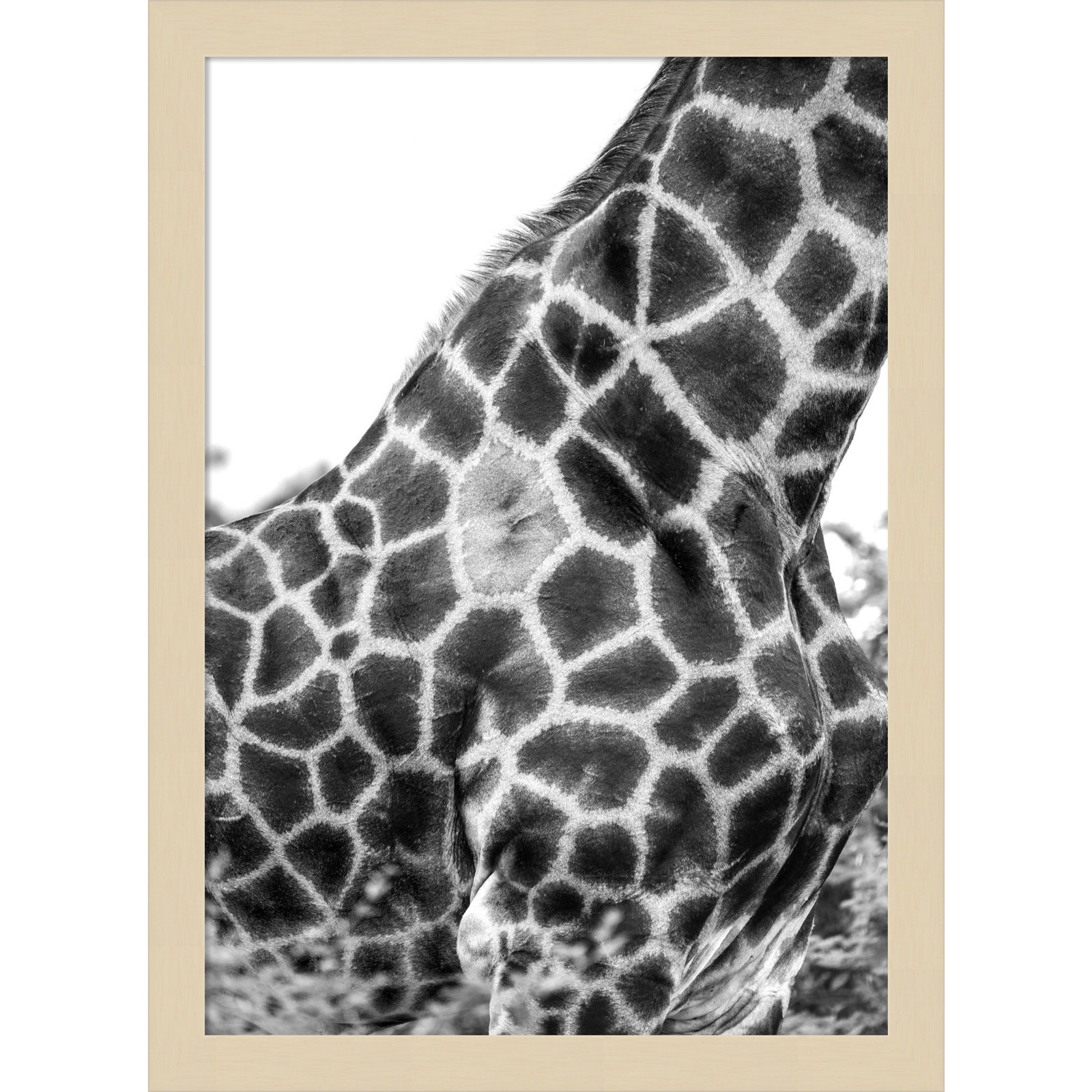 Rochellt "Super Safari No. 3 Giraffe" Print, Brown, 17" H x 13" W