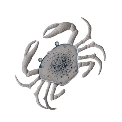 Glass Blue Crab Wall Sculptural Decor