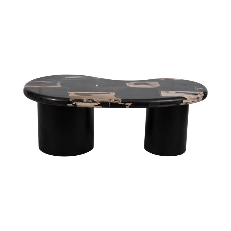 Petrified Wood Coffee Table with Black Wood Base, Modern Living Room Table, 51"