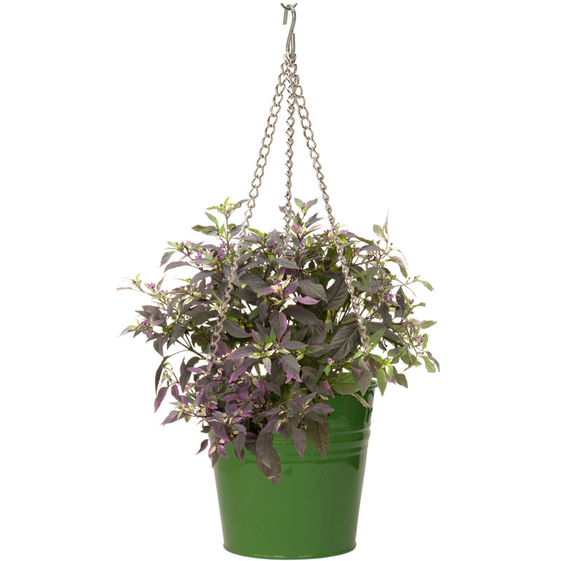 Pot à fleurs surélevé en acier galvanisé, ISE