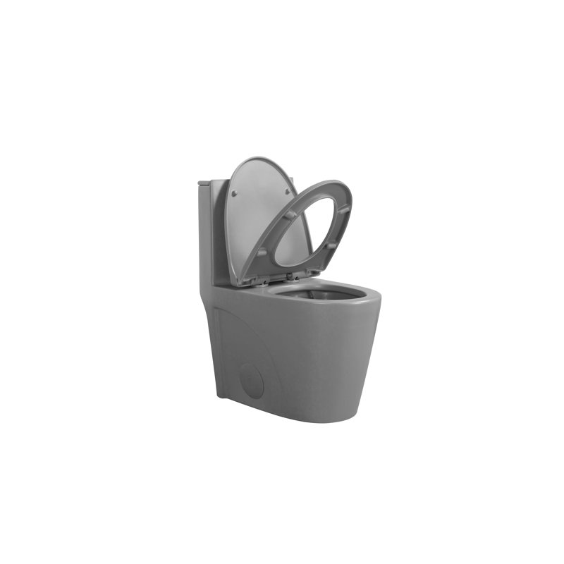 1.1/1.60 GPF Dual-Flush One Piece Toilet, Water-Saving Elongated Comfort Height Floor Mounted, Soft Closing Seat, 1000 Gram Map Flushing Score Toilet