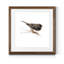 Mixed signaux IV-reproduction d’art sur papier encadrée-925224769-925224768