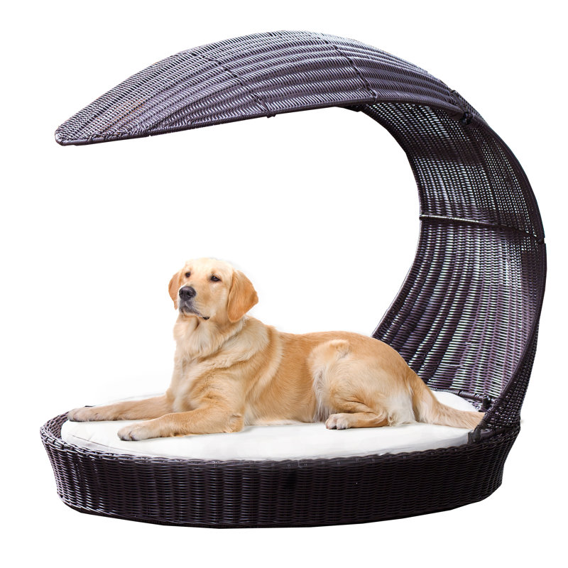 Lit à capuche d'extérieur pour chien Clara, Grand (l 28 po x P 42 po x H 35,5 po), Espresso