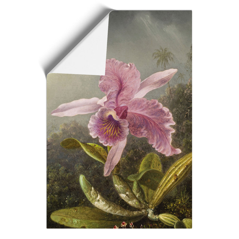 Pink Orchids by Martin Johnson Heade - Frameless Print, 30cm H x 21cm W x 0.1cm D
