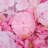 Dahlia Wall Panel Arrangement-1150514650