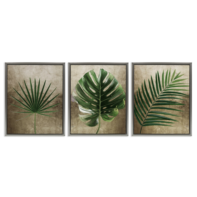 Ensemble de cadre flottant 3 pièces Rustic Earthy Tropical Leaves, design par Anna Lischenko, H 31 po x l 25 po