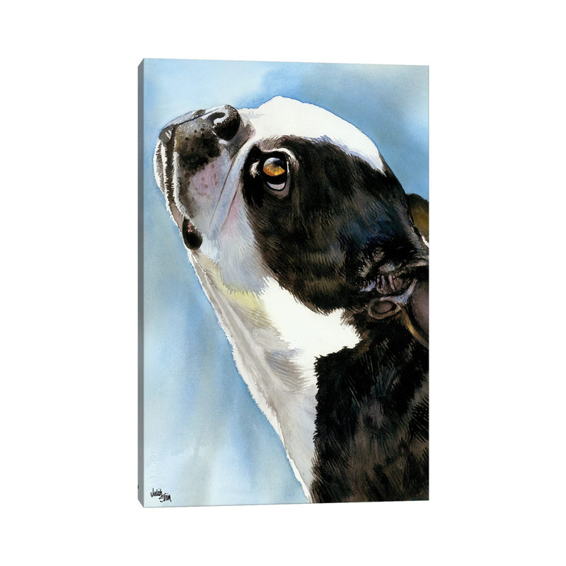 Here's Looking At You - Boston Terrier by Judith Stein - Wrapped Canvas Print, 30.48cm H x 20.32cm W