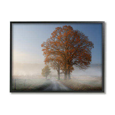 " Foggy Road Sycamore Tree " by Rick Berk